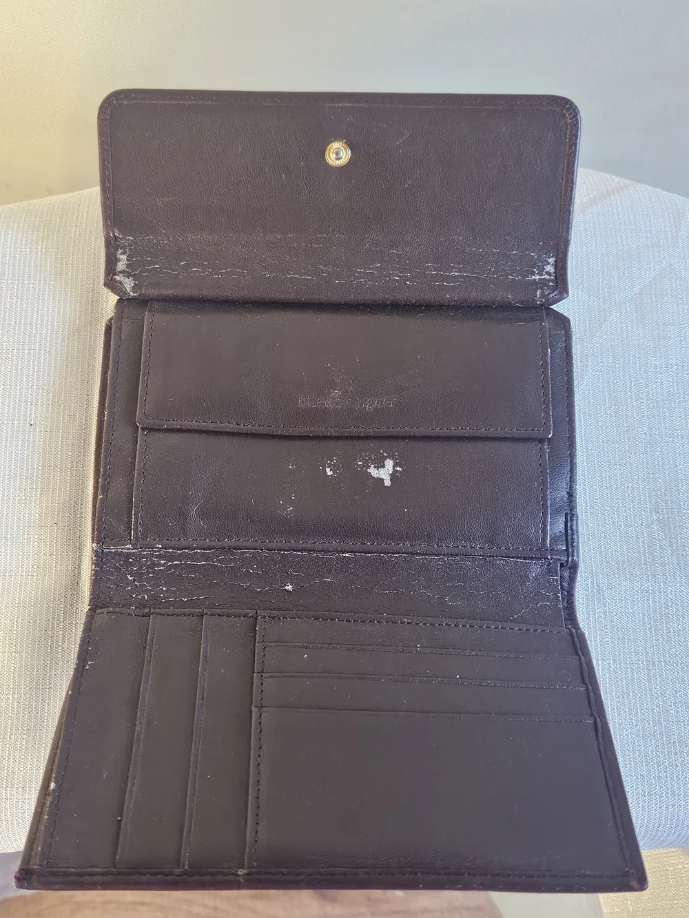 Etienne Aigner Wallet with Gold 